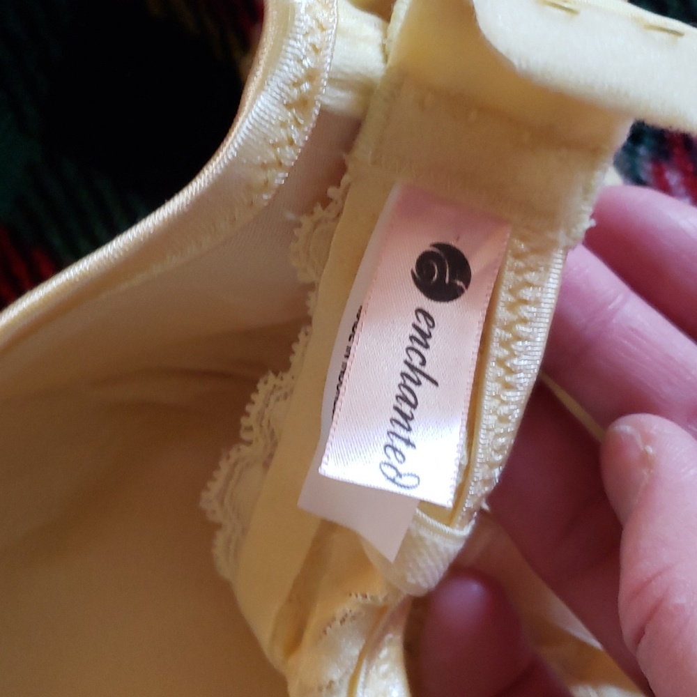 padded bra - Picture 4 of 6